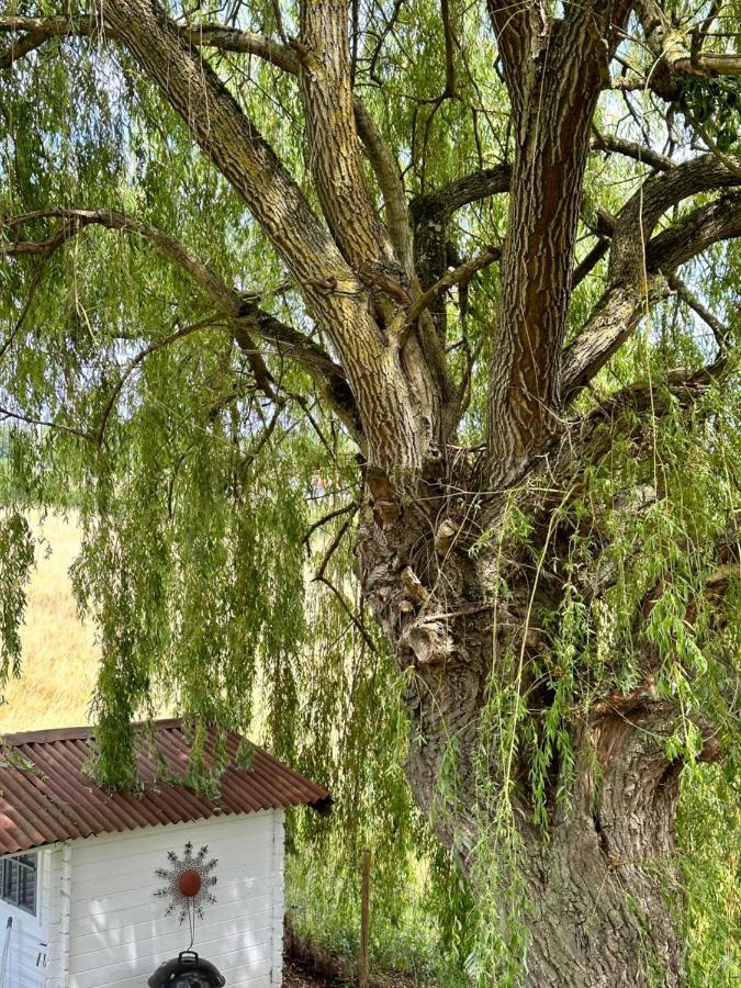 Maison Bourbonnaise idéalement placée Neuvy  Esterno foto